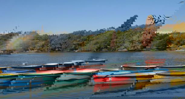 Zoo Lake
