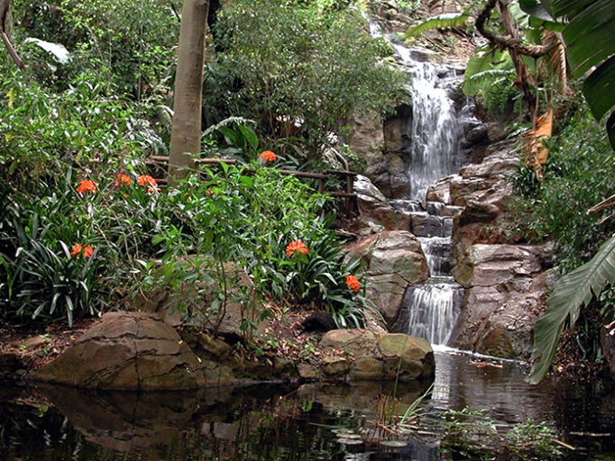 Pretoria Botanical