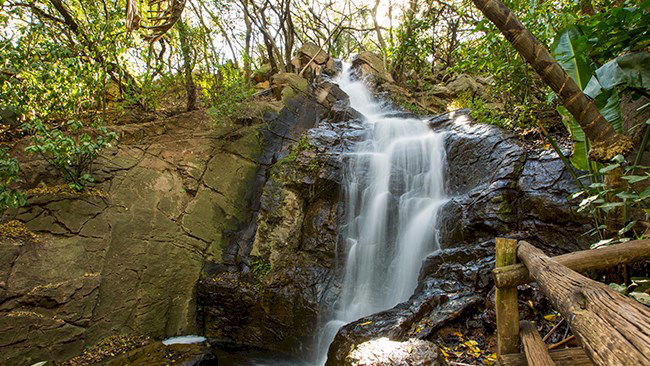Faerie Glen Nature Reserve