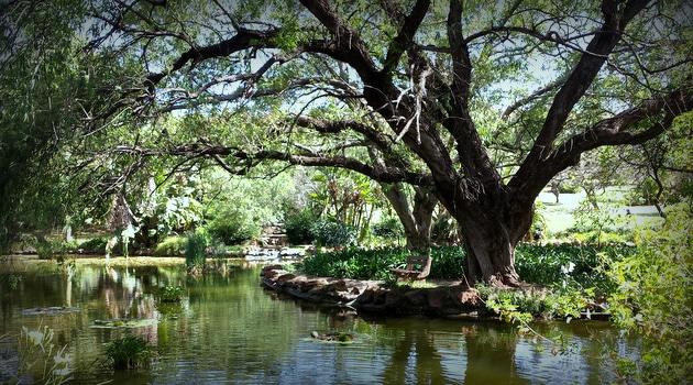 Jan Cilliers Park