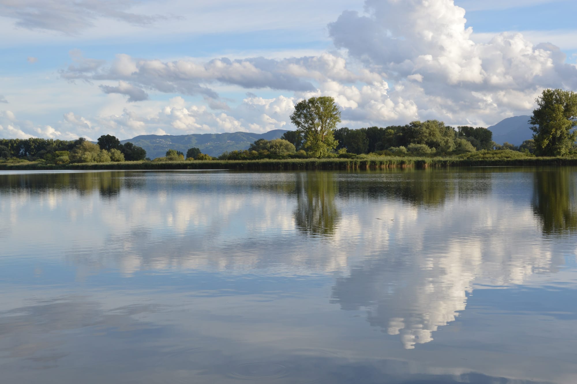 Le emozioni dell'acqua