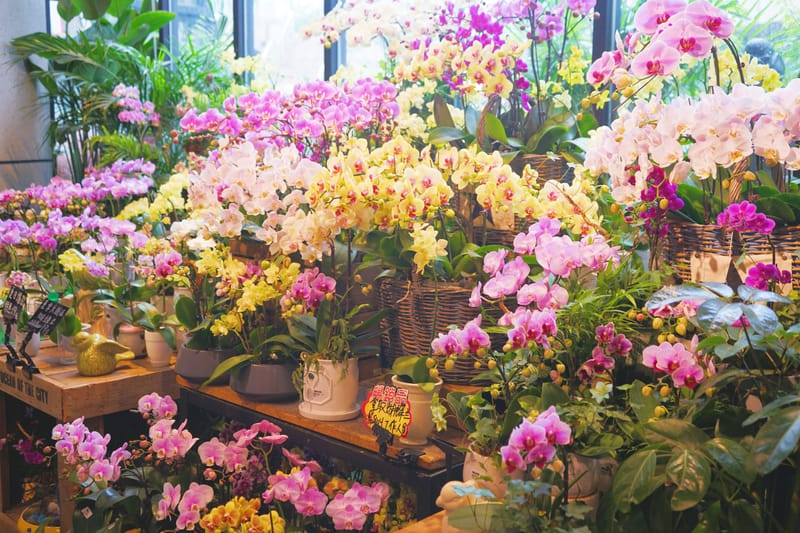 Here’s Our Experience Ordering from an Online Flower Shop