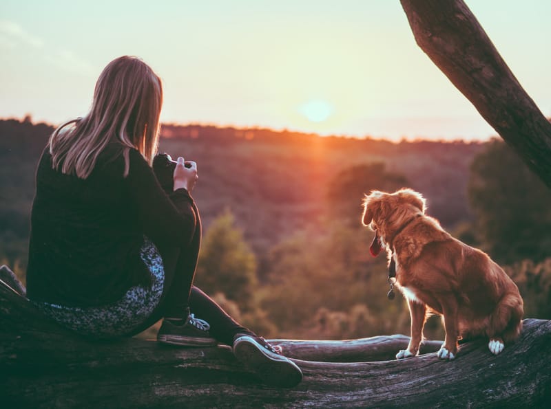 What I Learned From Working with a Professional Family Photographer