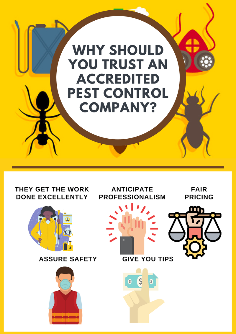 Why Should You Trust an Accredited Pest Control Company?