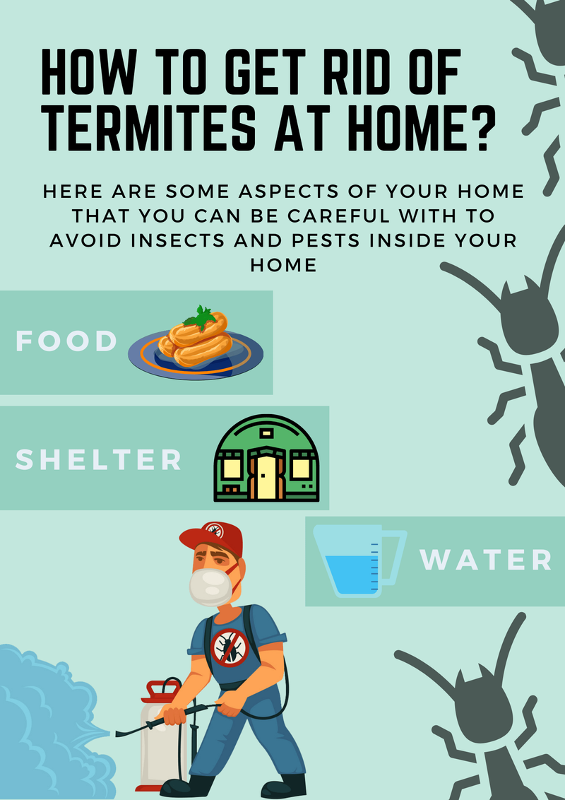 How To Get Rid Of Termites At Home?