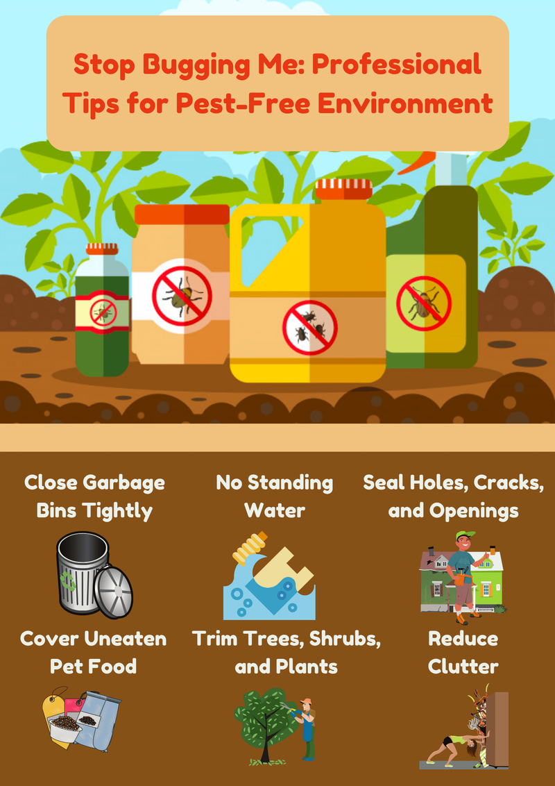 Stop Bugging Me: Professional Tips for Pest-Free Environment