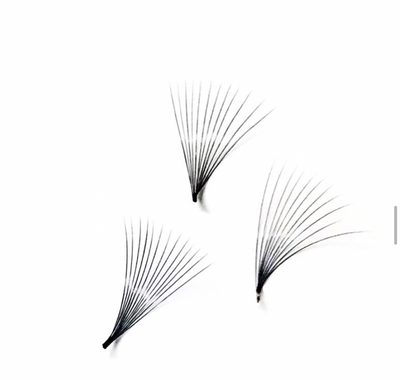 מניפות ריסים