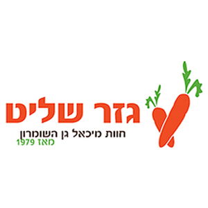 גזר שליט