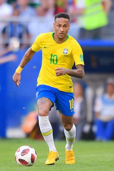 Cruciate ligament injuries in bulk