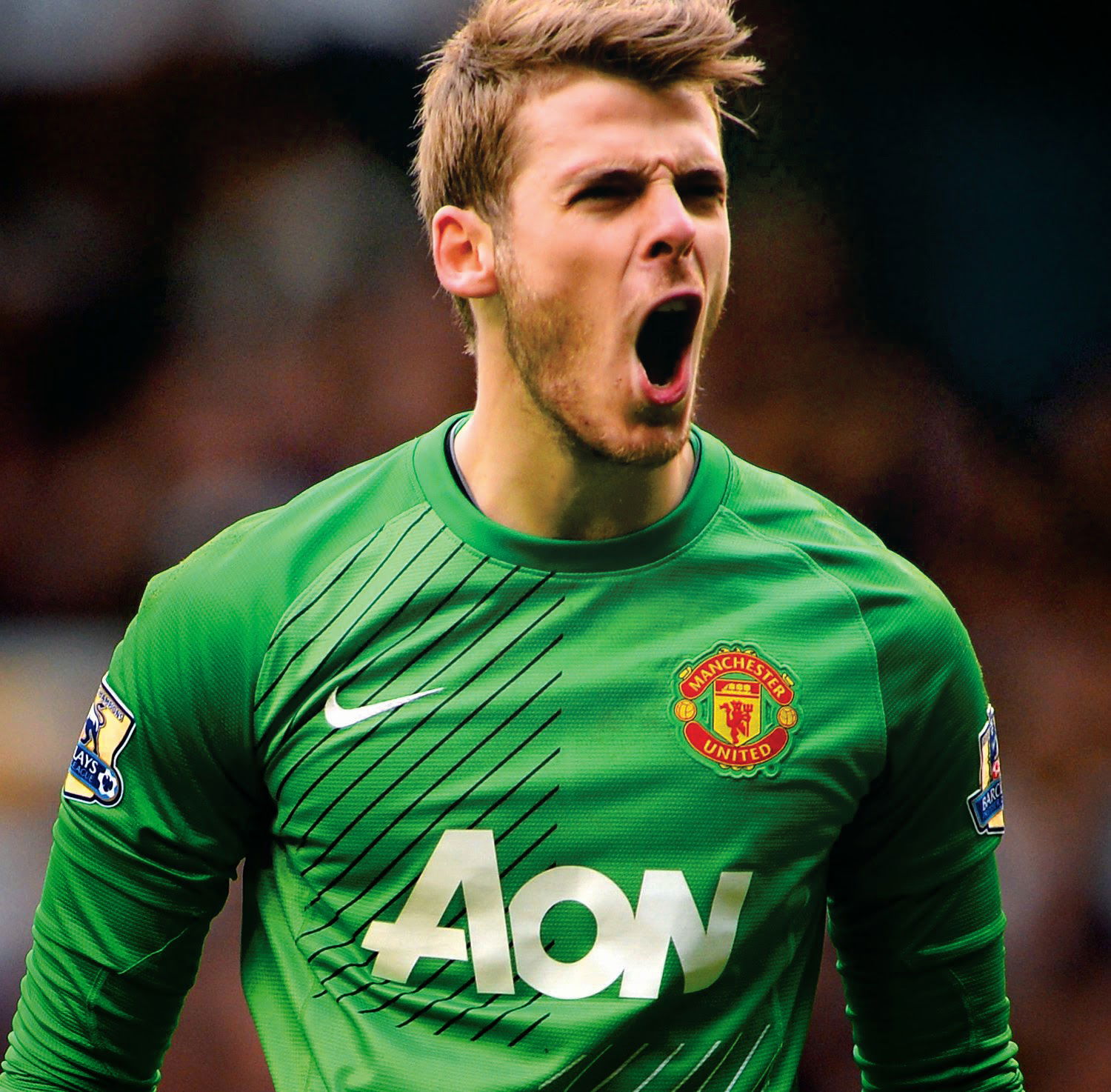 De Gea to Newcastle United