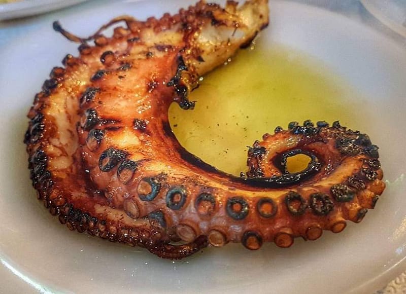 Xtapodi ( Octopus)