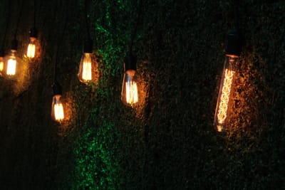 House & Home: Backyard Garden Lights