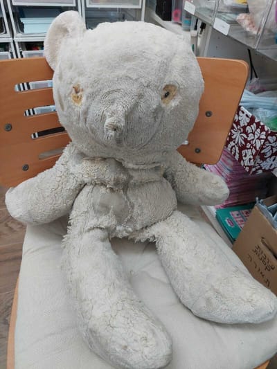 בית חולים לדובים image