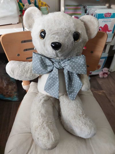 בית חולים לדובים image