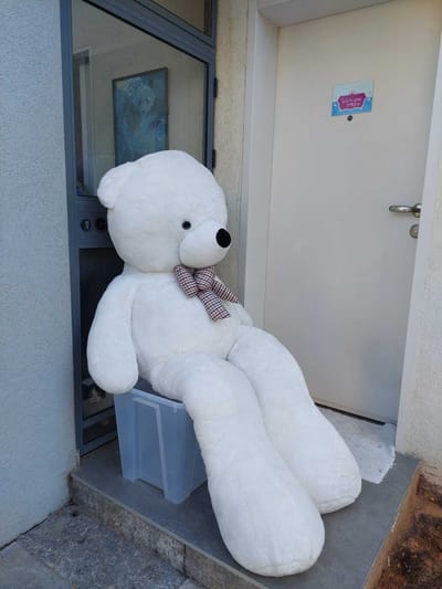 בית חולים לדובים image