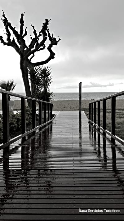 UN DÍA GRIS, PERO NO TRISTE