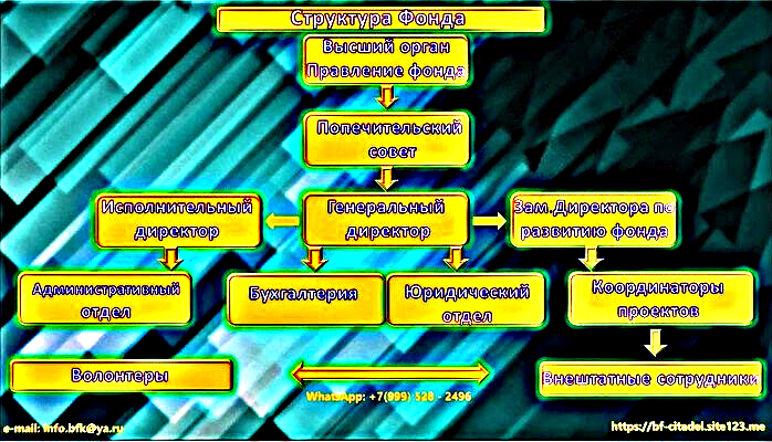 Структура фонда