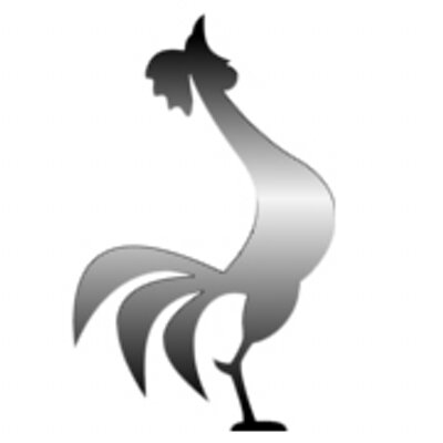 Desentupidora Galo Fino