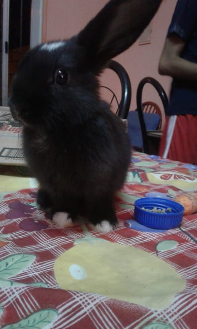 Sobre nosotros image