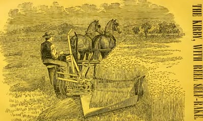 Signer #34, Mary S. Mirror: "The Name that Sounds Fake"