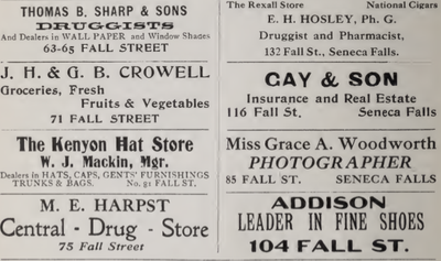 Signer #91: S.E. Woodworth, "Drosophila"