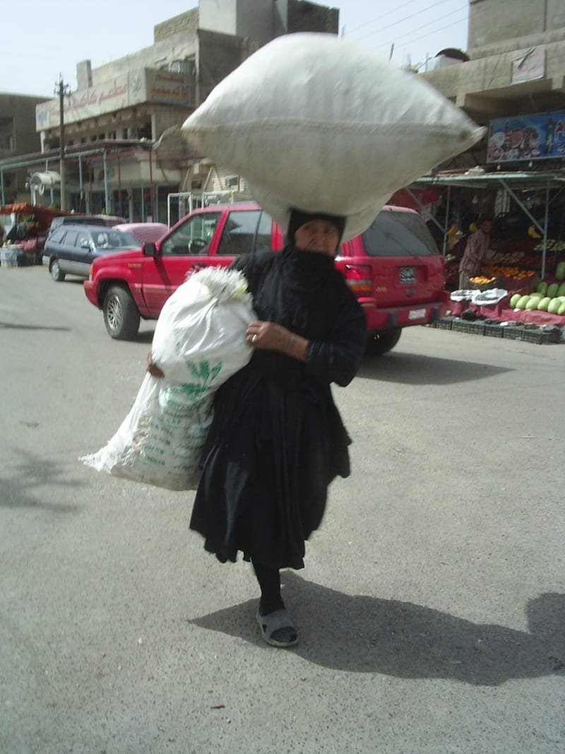 هذا الحمل لا يكفي لسد الرمق /عدسة كريم كلش