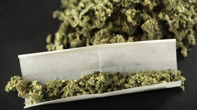 Factors To Consider When Choosing a Marijuana Dispensary