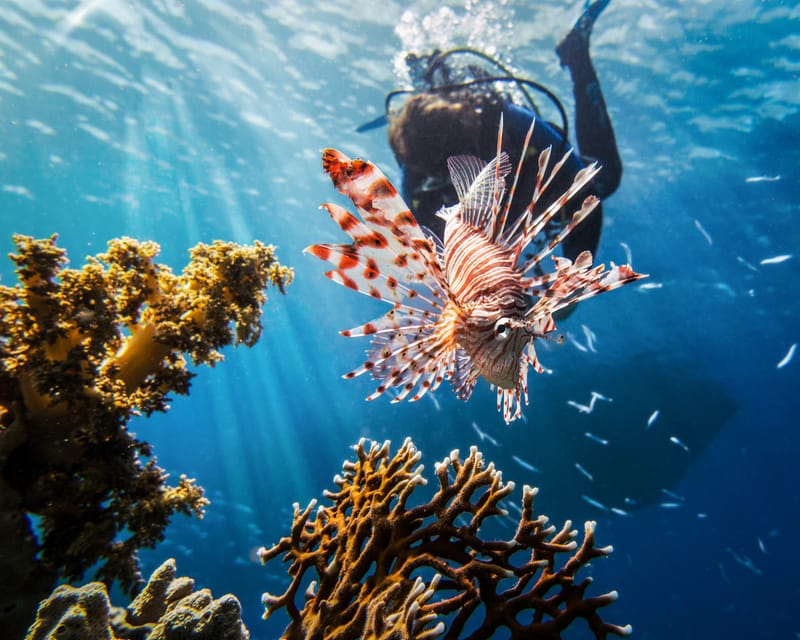 DIVING TOUR of JORDAN and Israel-10 days/9 nights