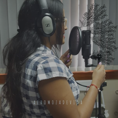 QUÉ SERÍA DE UNA AEROMOZA SIN COMUNICACIÓN II