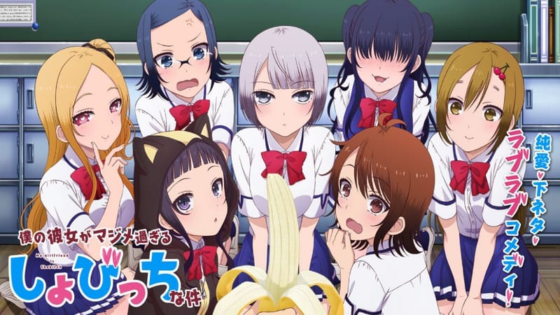 Boku no Kanojo ga Majimesugiru Sho-bitch na Ken [10-10][Mega]