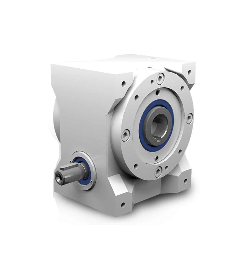 Worm Gear motors