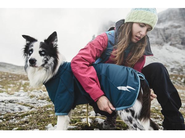 Die Softshell-Jacke Chill Stopper für die Übergangszeit oder Hunde ohne Unterwolle