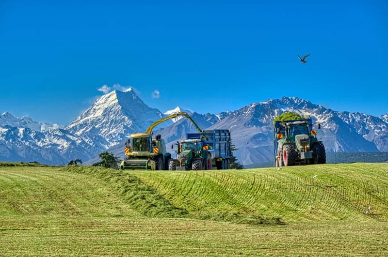 Fine Chop and long Chop Silage.