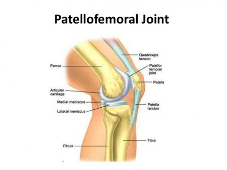 patellofemoral joint