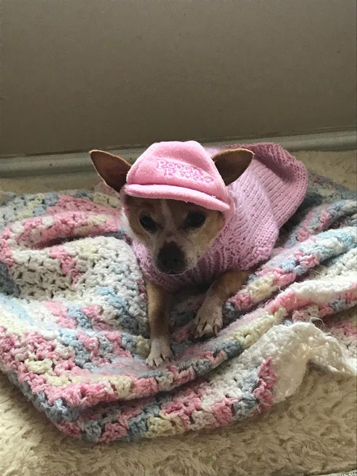 Tika