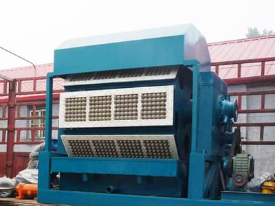 How Possessing a Paper Egg Tray Making Machine Can Boost Your Small Operation