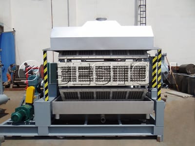 Apple Fruit Tray Making Machine-what you must know