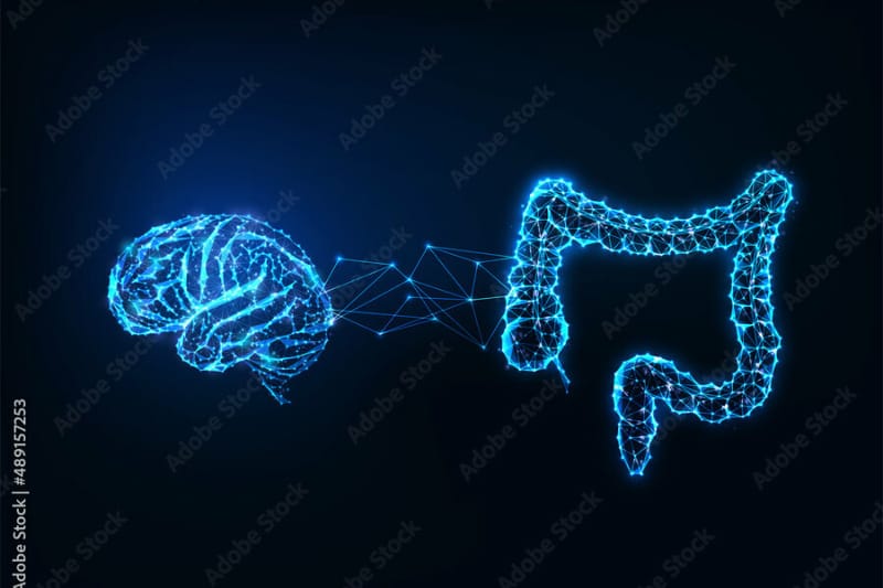 Verbeter de darmfunctie, activeer je brein