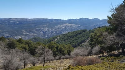 Sierra de Guadarrama (Comunidad de Madrid)