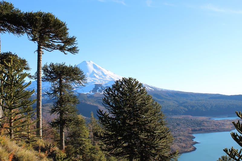 Parque Nacional Conguillio