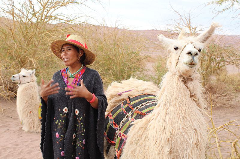 Salar de Atacama & Caravana Ancestral