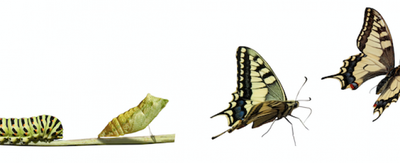 How the Inspiration for this Site Came About