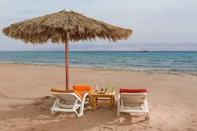 شقق للايجاربمصيف بلطيم_ 01028913383