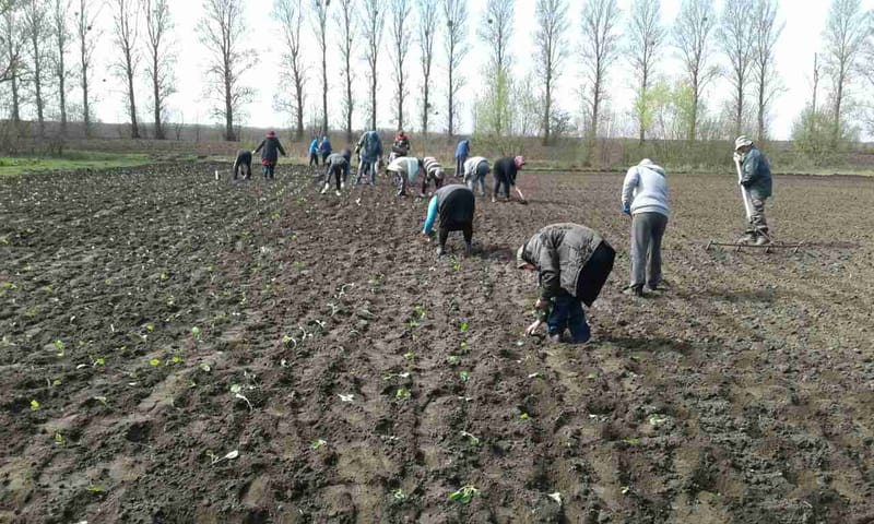 Весняний день рік годує