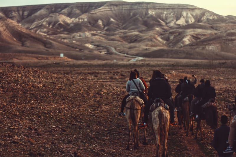 פסקי הלכה בעניין יום העצמאות  מתוך תורתם של חכמי הספרדים