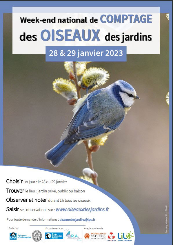 BHBRICOLAGE a participé au we du comptage national des oiseaux du jardin