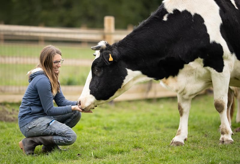 Cadeau de Noël éthique et insolite