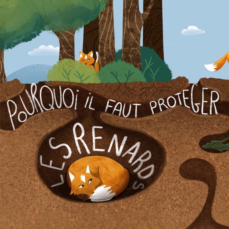 Pourquoi il faut protéger les renards :