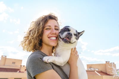 Adopter un chien : quelles démarches effectuer? Que dit la loi?