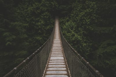 Into the unknown